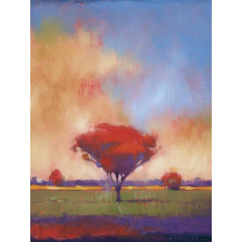 Where Ever You Go Black Modern Wood Framed Art Print with Double Matting by Anderson, Paul