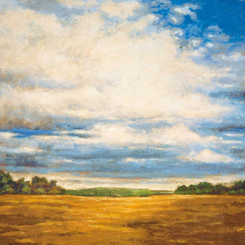 Tranquil Meadow Black Modern Wood Framed Art Print by Burdy, Zenon