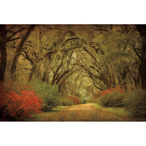 Road Lined With Oaks and Flowers  Black Modern Wood Framed Art Print with Double Matting by Guion, William