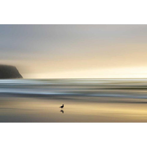 Morning Visit White Modern Wood Framed Art Print by Pelkey, Marvin