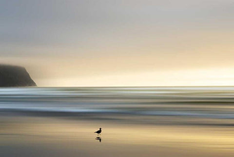 Morning Visit White Modern Wood Framed Art Print with Double Matting by Pelkey, Marvin