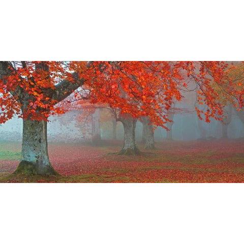 arboles Rojos Gold Ornate Wood Framed Art Print with Double Matting by Palacios, Juan Antonio