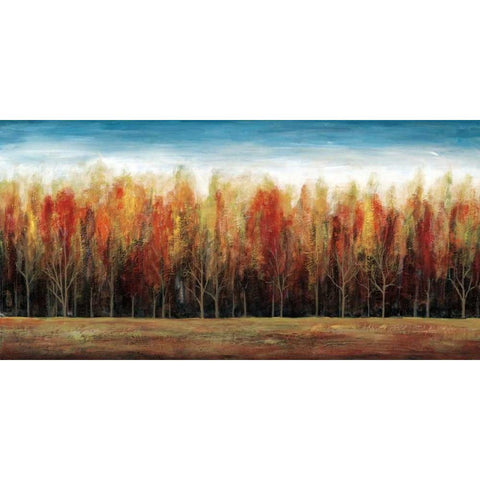 Deep Forest White Modern Wood Framed Art Print by Fontaine, Stephane