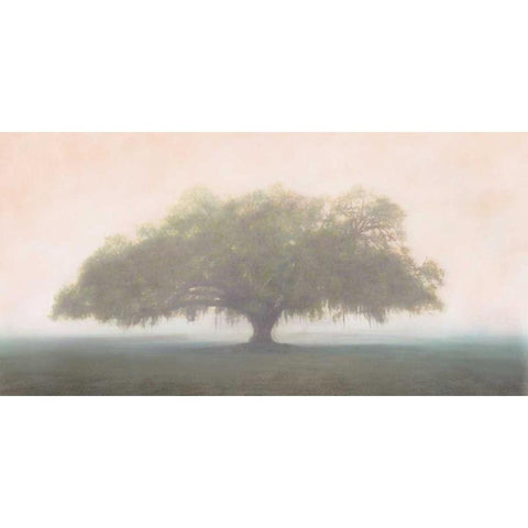 Oak in the Fog White Modern Wood Framed Art Print by Guion, William