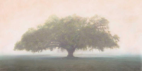 Oak in the Fog Black Ornate Wood Framed Art Print with Double Matting by Guion, William