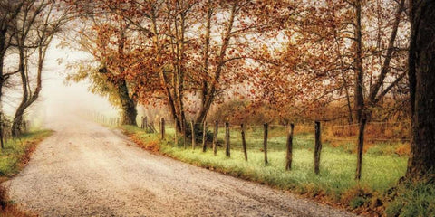 Fog Ahead Black Ornate Wood Framed Art Print with Double Matting by Burt, D.