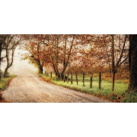 Fog Ahead Black Modern Wood Framed Art Print with Double Matting by Burt, D.