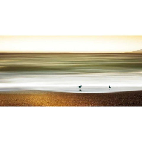 Golden Shores Gold Ornate Wood Framed Art Print with Double Matting by Pelkey, Marvin