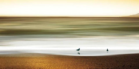 Golden Shores White Modern Wood Framed Art Print with Double Matting by Pelkey, Marvin