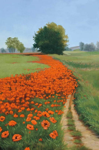 Poppy Field White Modern Wood Framed Art Print with Double Matting by Peterson, Julie