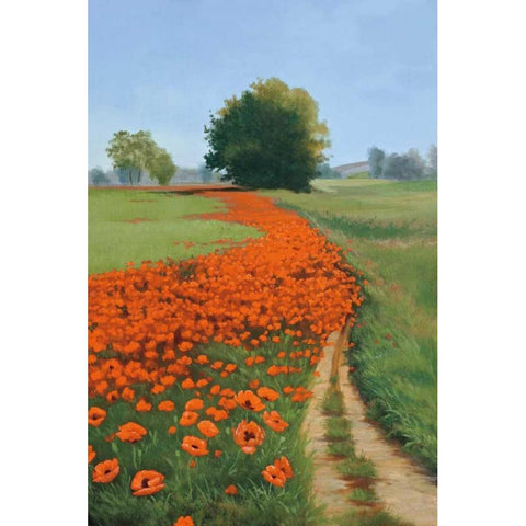 Poppy Field Black Modern Wood Framed Art Print by Peterson, Julie