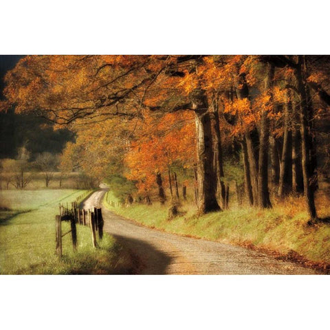 Autumns Morning Light White Modern Wood Framed Art Print by Burt, D.