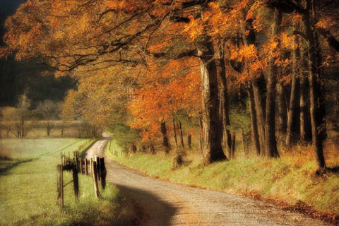 Autumns Morning Light Black Ornate Wood Framed Art Print with Double Matting by Burt, D.