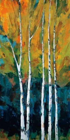 Preface White Modern Wood Framed Art Print with Double Matting by Colbert, Peter