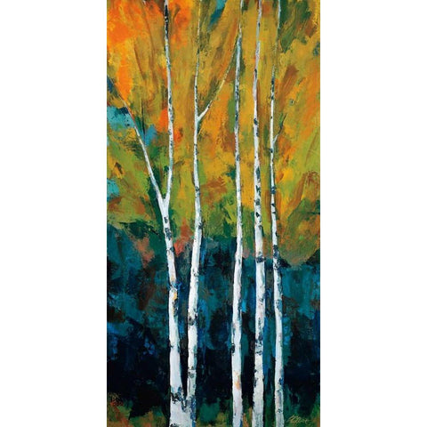 Preface Black Modern Wood Framed Art Print with Double Matting by Colbert, Peter