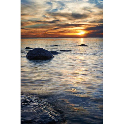 Natures Bliss Black Modern Wood Framed Art Print with Double Matting by Bellyk, Daniel J.