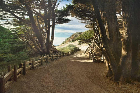 Big Sur White Modern Wood Framed Art Print with Double Matting by Cahill, Michael