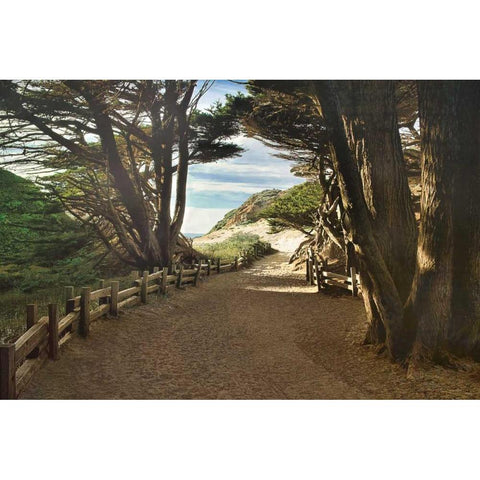 Big Sur Black Modern Wood Framed Art Print by Cahill, Michael