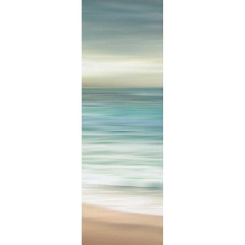 Ocean Calm III Gold Ornate Wood Framed Art Print with Double Matting by Venter, Tandi