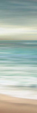 Ocean Calm III Black Ornate Wood Framed Art Print with Double Matting by Venter, Tandi