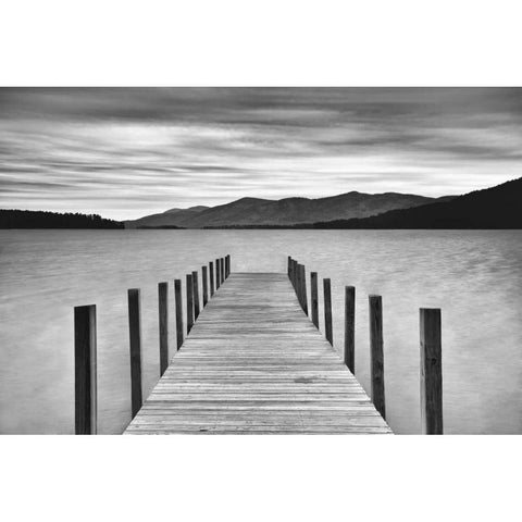 Morning View White Modern Wood Framed Art Print by Iacobellis, Michael