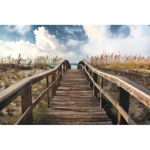 Path To Paradise White Modern Wood Framed Art Print by Cahill, Michael