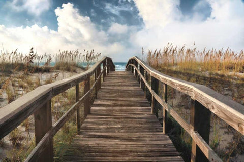 Path To Paradise Black Ornate Wood Framed Art Print with Double Matting by Cahill, Michael