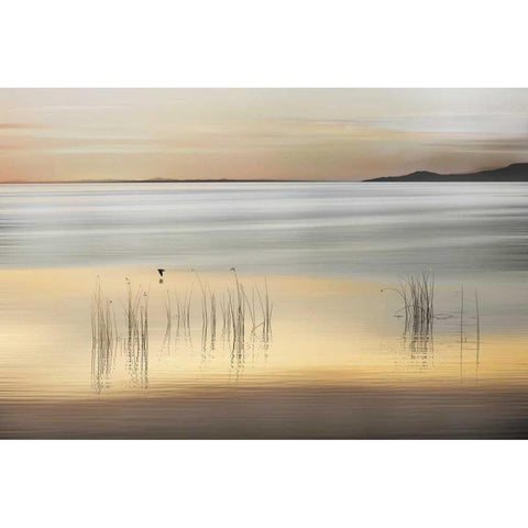 Golden Black Modern Wood Framed Art Print with Double Matting by Pelkey, Marvin