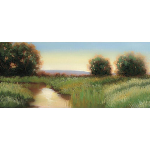 Suns Up White Modern Wood Framed Art Print by Peterson, Julie