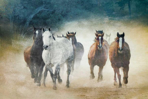 Dust Devils White Modern Wood Framed Art Print with Double Matting by Caro, Wendy