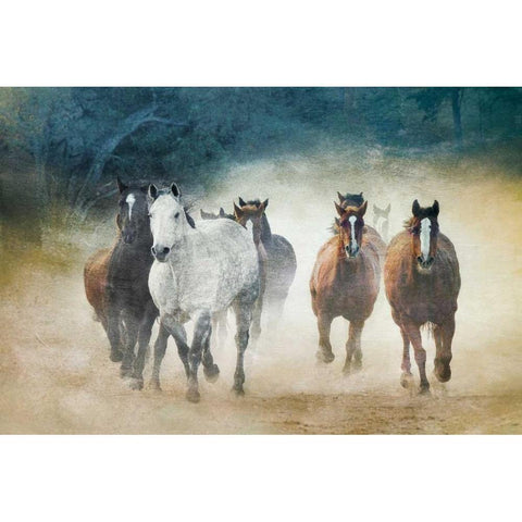 Dust Devils Black Modern Wood Framed Art Print with Double Matting by Caro, Wendy