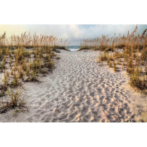 Path to the Beach Black Modern Wood Framed Art Print by Cahill, Michael