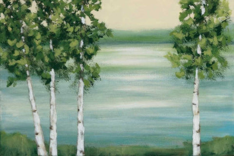 Quiet Lake Black Ornate Wood Framed Art Print with Double Matting by Vindedzis, Rita