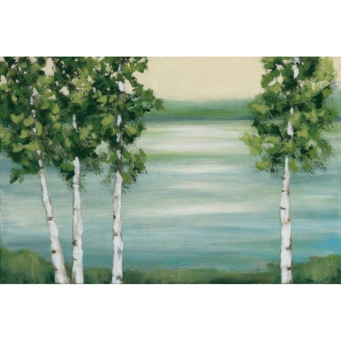 Quiet Lake Black Modern Wood Framed Art Print by Vindedzis, Rita