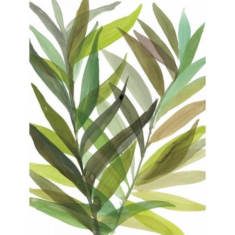 Tropical Greens I Black Modern Wood Framed Art Print with Double Matting by Meyers, Rebecca