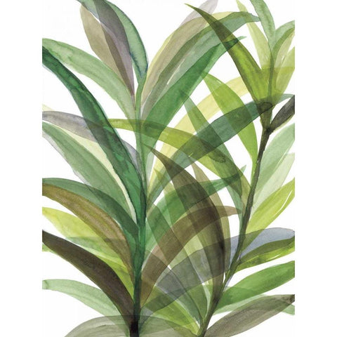 Tropical Greens II Gold Ornate Wood Framed Art Print with Double Matting by Meyers, Rebecca