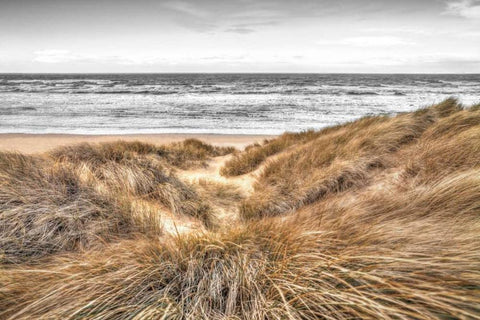 Beach Dunes Black Ornate Wood Framed Art Print with Double Matting by Frank, Assaf