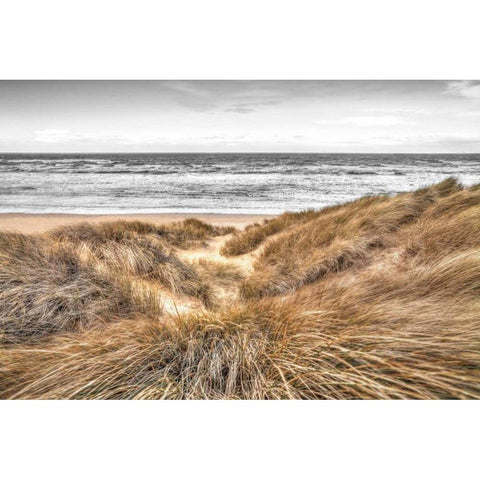 Beach Dunes Black Modern Wood Framed Art Print with Double Matting by Frank, Assaf