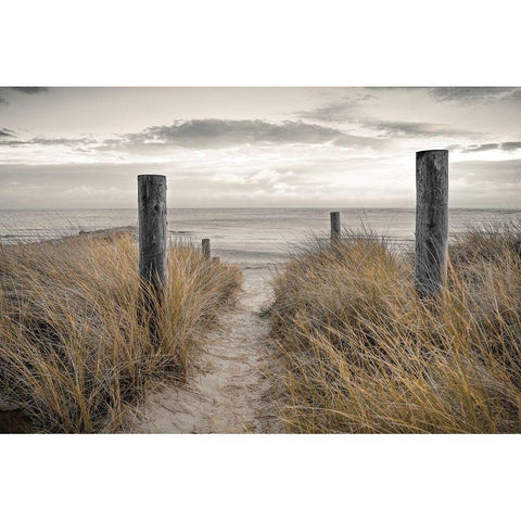 Beach Day Gold Ornate Wood Framed Art Print with Double Matting by Frank, Assaf