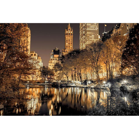 Central Park Glow White Modern Wood Framed Art Print by Frank, Assaf