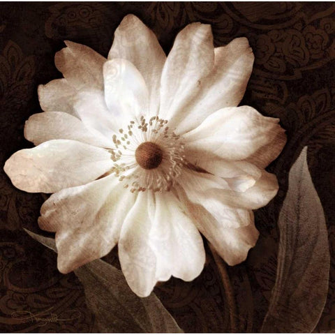 Paisley Blossom II White Modern Wood Framed Art Print by Mallett, Keith