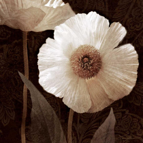 Paisley Poppy II White Modern Wood Framed Art Print with Double Matting by Mallett, Keith