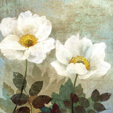 Anemone II White Modern Wood Framed Art Print with Double Matting by Mallett, Keith