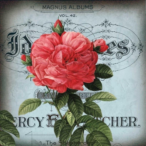 Petite Rose I Black Modern Wood Framed Art Print by Berg, Sabine