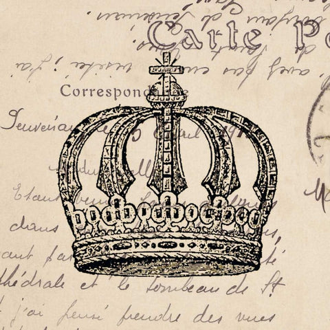 Royalty II Black Modern Wood Framed Art Print with Double Matting by Berg, Sabine