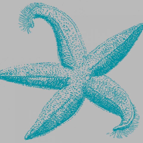 Sea Stars I Black Modern Wood Framed Art Print with Double Matting by Berg, Sabine