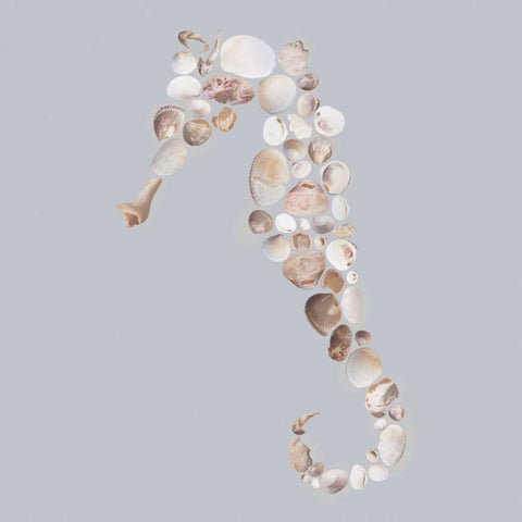 Seahorse White Modern Wood Framed Art Print with Double Matting by Lloyd, Justin