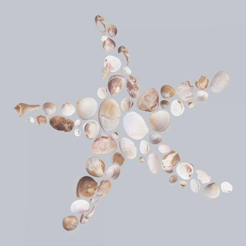 Starfish Black Ornate Wood Framed Art Print with Double Matting by Lloyd, Justin
