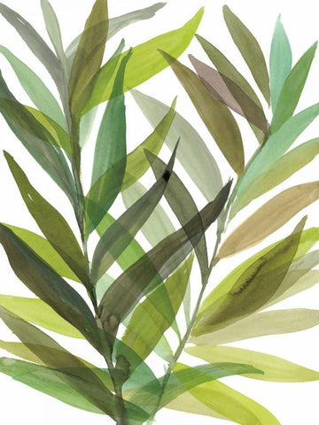 Tropical Greens I Black Ornate Wood Framed Art Print with Double Matting by Meyers, Rebecca