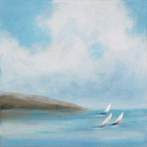 Sailing Day III Black Ornate Wood Framed Art Print with Double Matting by Vindedzis, Rita